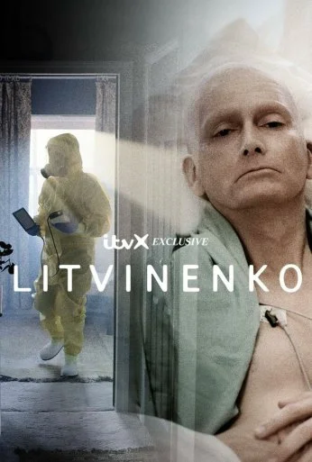 Литвиненко (2022)